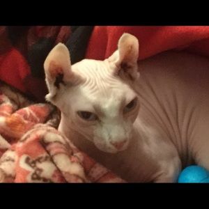 Meet your Posher, Kathleen